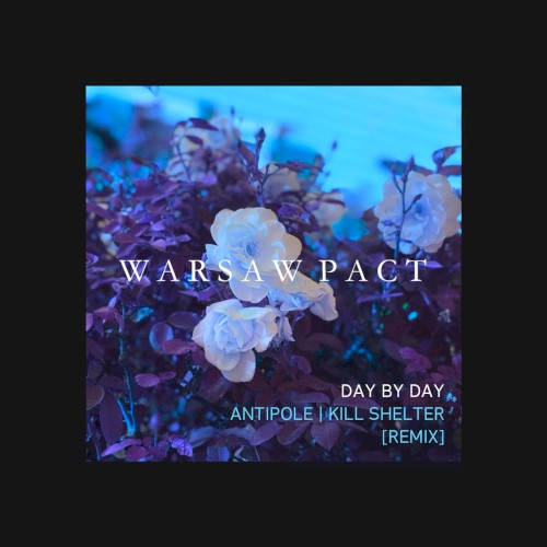 Day by Day (Antipole/Kill Shelter remix)