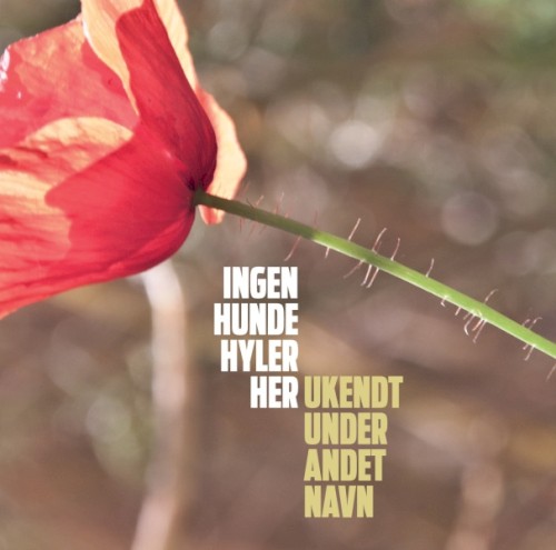 Ingen hunde hyler her