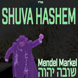 Shuva Hashem