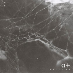 Pantano