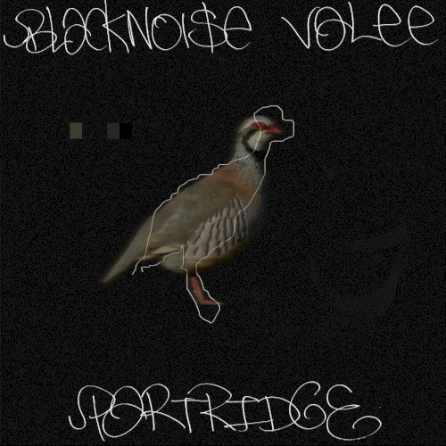 Partridge