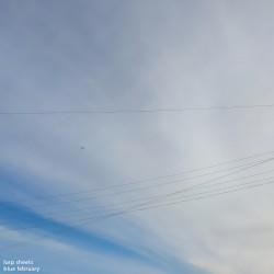blue february