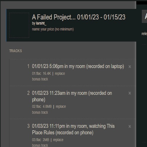 A Failed Project… 01/01/23 – 01/15/23