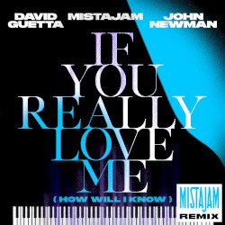 If You Really Love Me (How Will I Know) (Mistajam remix)