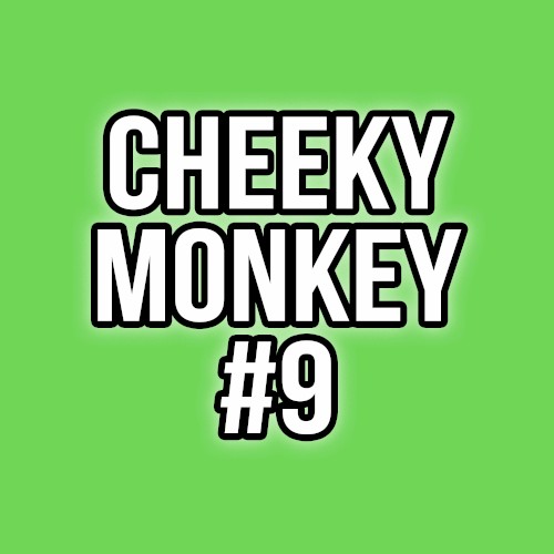 Paul Sirrell - Cheeky Monkey #9