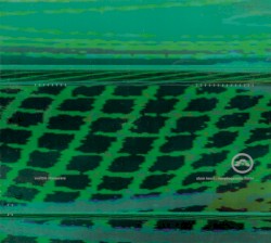 Morphogenetic Fields