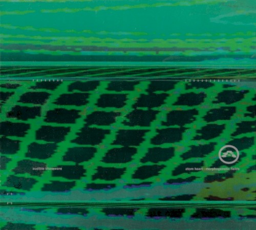 Morphogenetic Fields