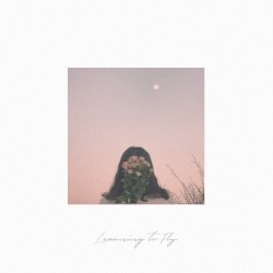 Learning to Fly