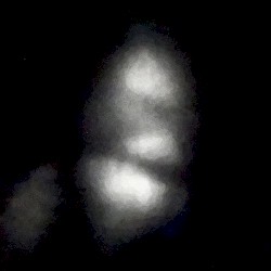 Thought Forms