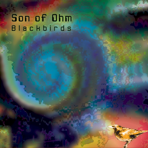Blackbirds