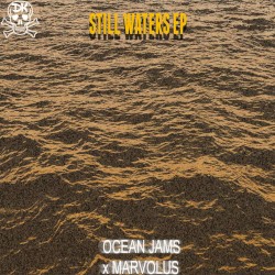 Still Waters