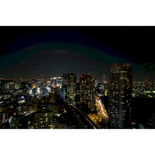 Tokyo Future Girl
