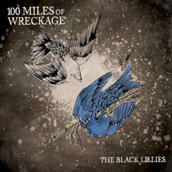 100 Miles of Wreckage