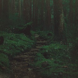 Life’s Odyssey