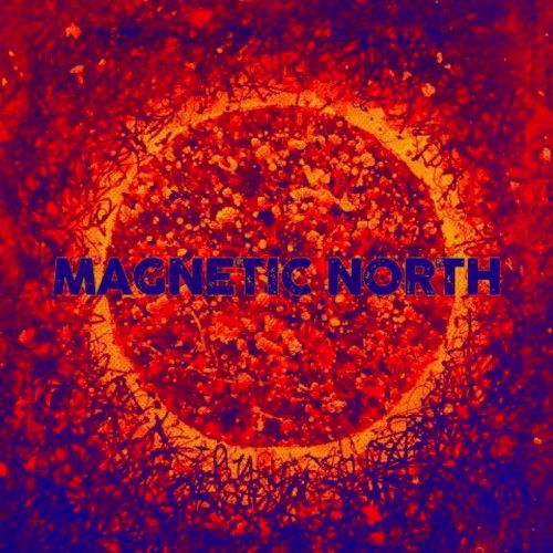 Magnetic North