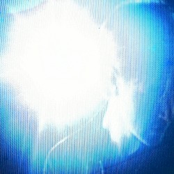 broken spirit