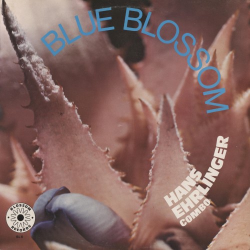 Blue Bossom