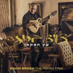 עץ הפקאן