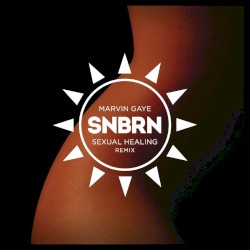 Sexual Healing (SNBRN Radio Remix)