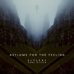 Asylums for the Feeling