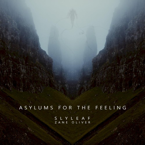 Asylums for the Feeling