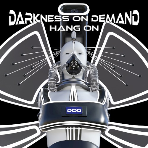 Hang On (Winterhart remix)
