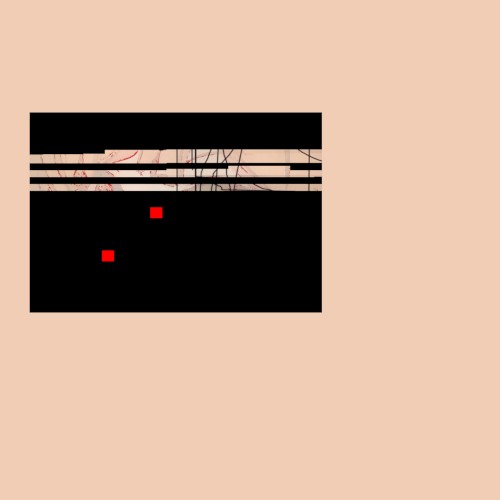 Backup 7282022