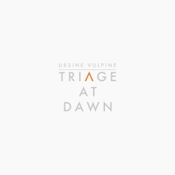 Triage At Dawn
