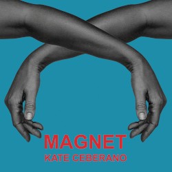 Magnet