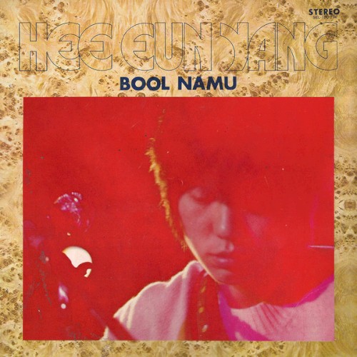 Bool Namu