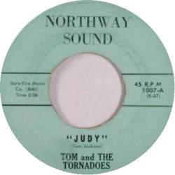 Judy / Long Pony Tail