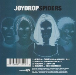 Spiders