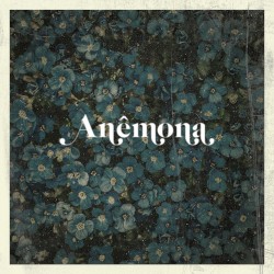 Anêmona