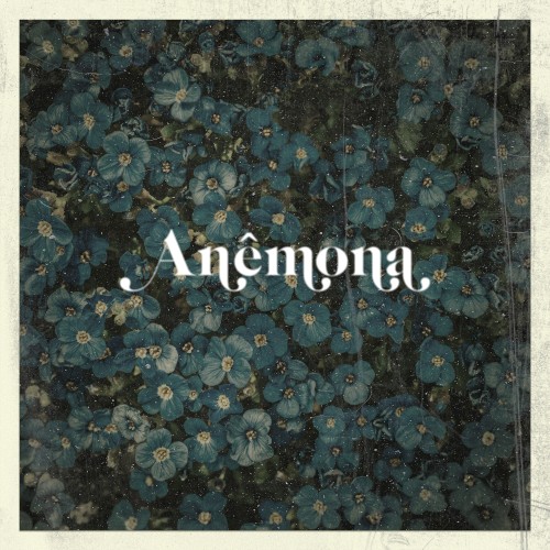 Anêmona