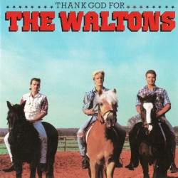 Thank God for The Waltons