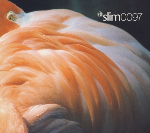 Slim 0097