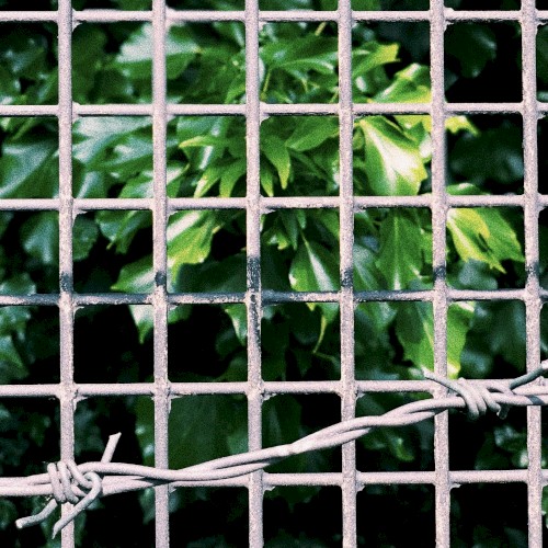 CXT005: With The Sonant
