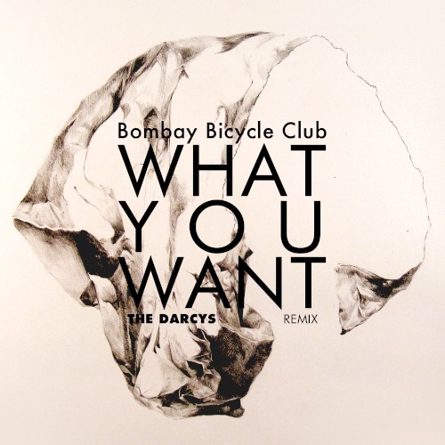 What You Want (The Darcys remix)