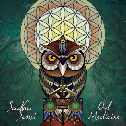 Owl Medicine