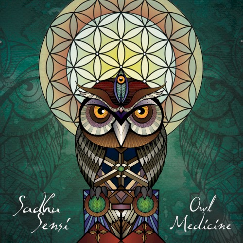 Owl Medicine