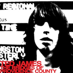 The Bridges of Providence County
