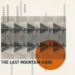 The Last Mountain Hare