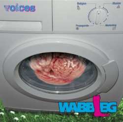 voices