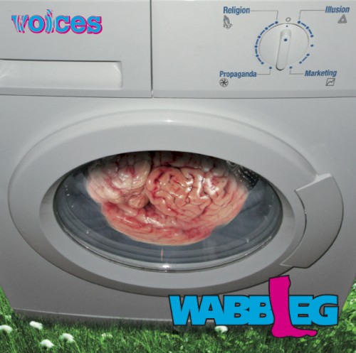 voices