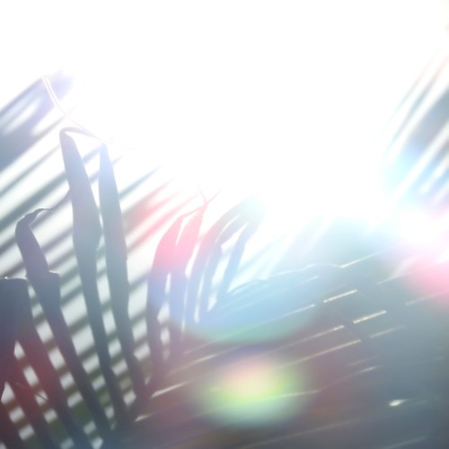 Crack Of Light