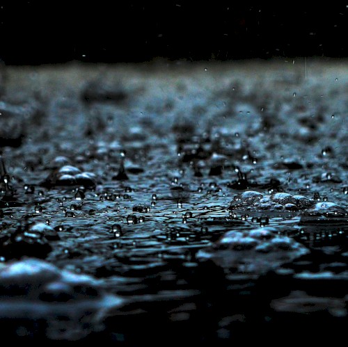 Heavy Rain
