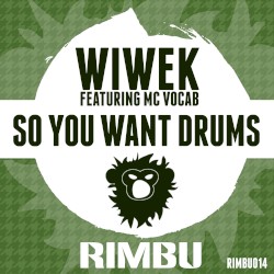 So You Want Drums