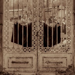 De retour au cimetière des arlequins