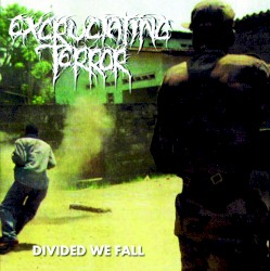 Divided We Fall