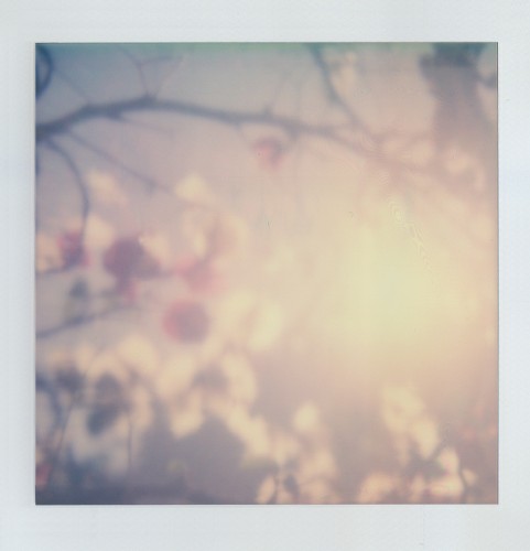 Radiant Emptiness